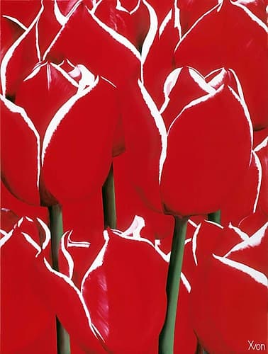 Red and White I Européen reproduction