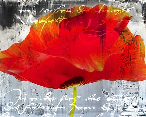 Poppy Story II Art Print by Micha Baker