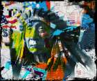 Indian Power II Art Print