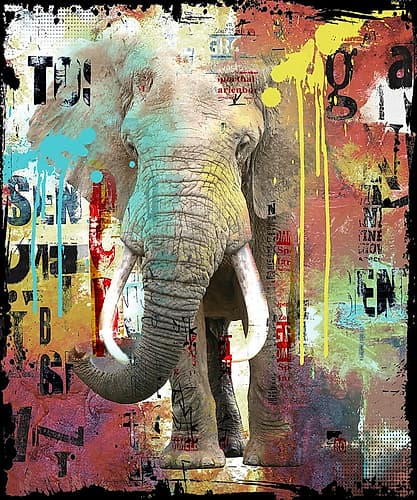 Wildlife biggest Animaux reproduction