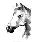 White Stallion II - by Parker, Jennifer Paxton | World Art Group | Parker, Jennifer Paxton