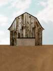A Barns Portrait I - by Wang, Melissa | World Art Group | Wang, Melissa