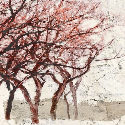 Rusty Trees I Impressionniste reproduction