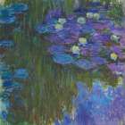 Nympheas en fleur Art Print