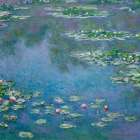 Water Lilies Art Print