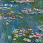 Water Lilies Art Print