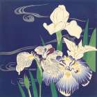 Irises on the Water Art Print