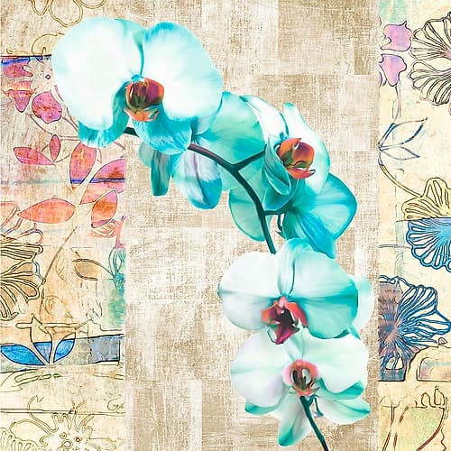 Kaleidoscope Orchid II (detail) Art Print