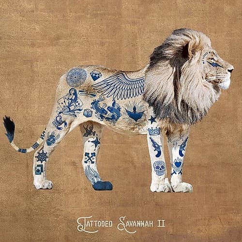 Tattooed Savannah II Art Print by Steven Hill