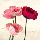 In the Wind (detail) Art Print