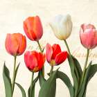 In the Garden (detail) Art Print