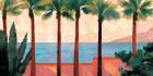 Mediterranean Gardens, Tanger Art Print