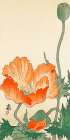 Poppies Art Print