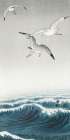 Three seagulls Art Print