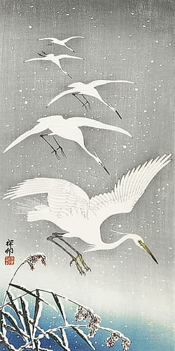 Descending egrets in snow Art Print