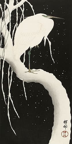 Heron in snow Art Print