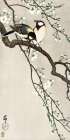 Tits on Cherry Branch Art Print