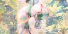 Kaleidoscope Orchid Art Print