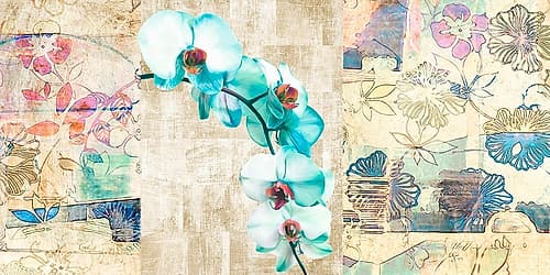 Kaleidoscope Orchid II Art Print