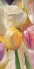 Soft tulips (detail 1) Art Print