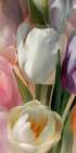 Soft tulips (detail 2) Art Print