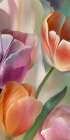 Soft tulips (detail 3) Art Print