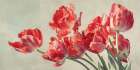 Crimson Parrot Tulips Art Deco Print