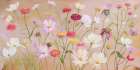 Wild Flowers Art Print