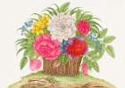 Basket of blooming flowers II Art Print