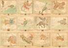 Star charts of the signs of the Zodiac Art Print