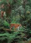 In the Jungle Art Print