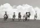 Herd of wild horses (BW) Art Print