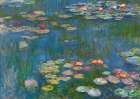 Water Lilies (detail) Art Print