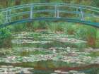 Water Lily Pool Art Print