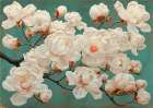 Magnolia (Turquoise) Art Print