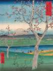 Koshigaya in Musashi Province Art Print