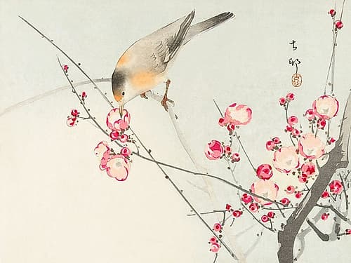Songbird on blossom Branch Art Print