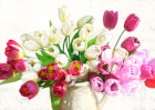Bouquet on white background Art Print