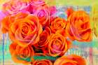 Dripping Roses Art Print