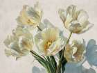 Tulips in the Sunlight Art Print