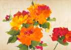 Summers Delight Art Print
