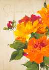 Summers Delight I Art Print