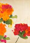 Summers Delight II Art Print
