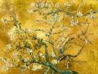Van Gogh Deco ΓÇô Mandorlo in fiore (gold variation) Art Print