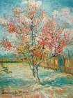 Pink peach trees Art Deco Print