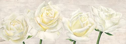 Classic Roses Art Print