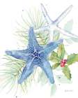 Christmas at the Cape XIV Art Print