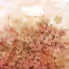 Feathered Fields V Art Print