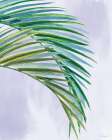 Lowcountry Living XX Coastal Print