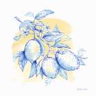 Mediterranean Breezes IV Coastal Print